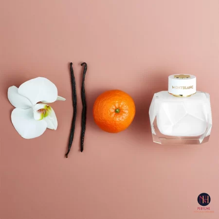 Mont Blanc Signature