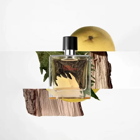 Hermès Terre d'Hermes Parfum