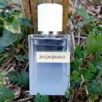 Nước Hoa Nam Yves Saint Laurent Y Eau Fraiche