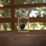 Escentric Molecules Molecule 01