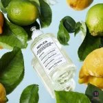 Maison Margiela Replica Under The Lemon Trees