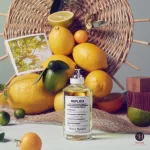 Maison Margiela Replica Under The Lemon Trees