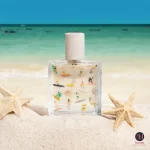 Maison Matine Bain de Midi