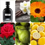 Nước hoa Unisex Once Pherody EDP Intense